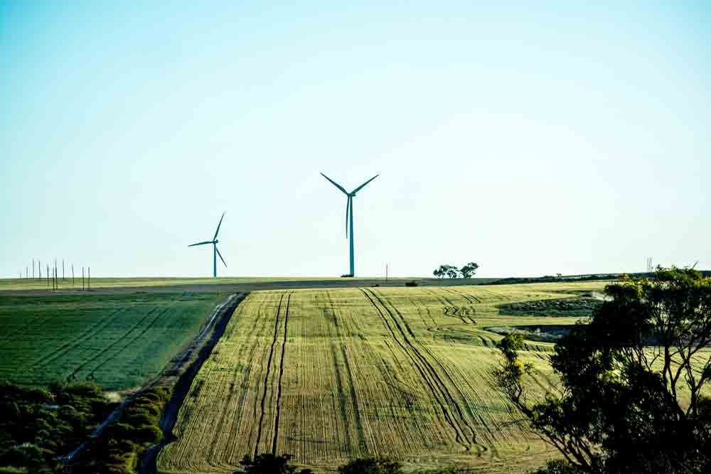 EnergyAustralia payment infrastructure upgrade case study